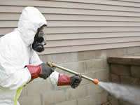 Pest Control & Inspection near Carlsbad, California